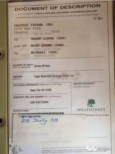 慧海龙王.png 慧海龙王.png