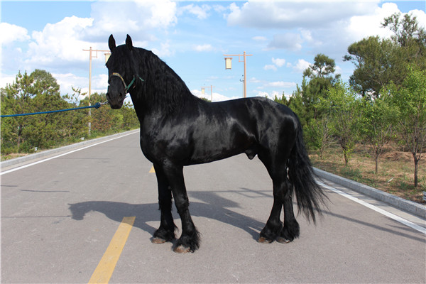 -O+÷í?-O+- (2).JPG