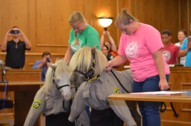 微信图片_20170718202621.jpg 微信图片_20170718202621.jpg