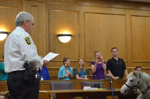 微信图片_20170718202632.jpg 微信图片_20170718202632.jpg