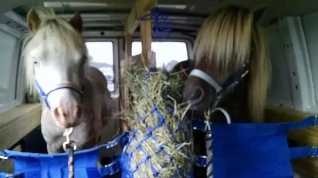 微信图片_20170718202638.jpg 微信图片_20170718202638.jpg