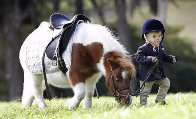 微信图片_20170718202700.jpg 微信图片_20170718202700.jpg