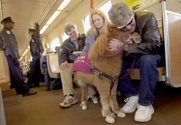 微信截图_20170718202924.png 微信截图_20170718202924.png