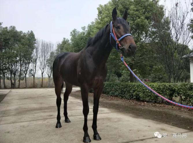 360截图20171205215517897.jpg 360截图20171205215517897.jpg