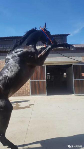 360截图20171205215615889.jpg 360截图20171205215615889.jpg