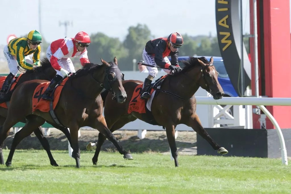 640.webp (3).jpg 640.webp (3).jpg