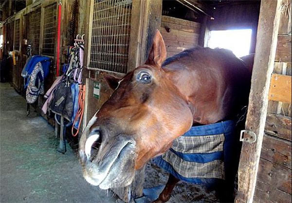 QQ图片20180413162142.jpg QQ图片20180413162142.jpg