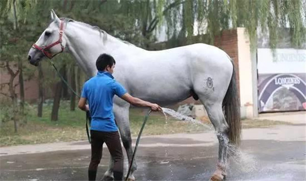 G92v-fxirmpz8265517.jpg G92v-fxirmpz8265517.jpg