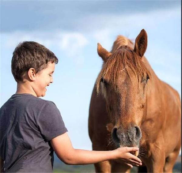 QQ图片20180413162242.jpg QQ图片20180413162242.jpg