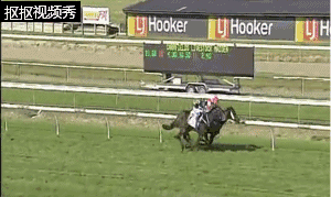 微信图片_20180425135207.gif 微信图片_20180425135207.gif