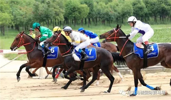 微信图片_20180502192854.jpg 微信图片_20180502192854.jpg