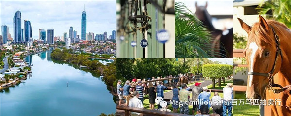 微信图片_20180502194930.jpg 微信图片_20180502194930.jpg