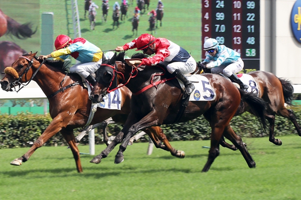 微信图片_20180514164411.jpg 微信图片_20180514164411.jpg