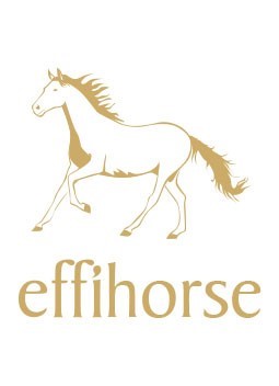 C:\Users\Administrator\Desktop\图\【CHF 2018】新增一份海外订单，展商展品抢先预告！\【CHF 2018】新增一份海外订单，展商展品抢先预告！.files\image003.jpg