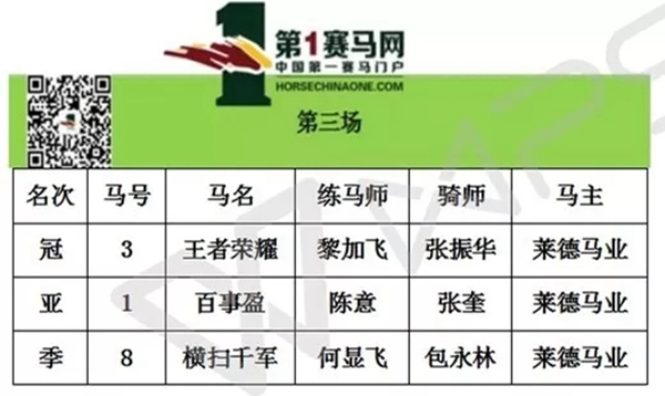 9.webp.jpg 9.webp.jpg