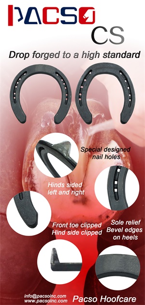 C:\Users\Administrator\Desktop\图\【CHF 2018】佩加索马匹护理 专注您爱马的健康\【CHF 2018】佩加索马匹护理 专注您爱马的健康.files\image018.jpg