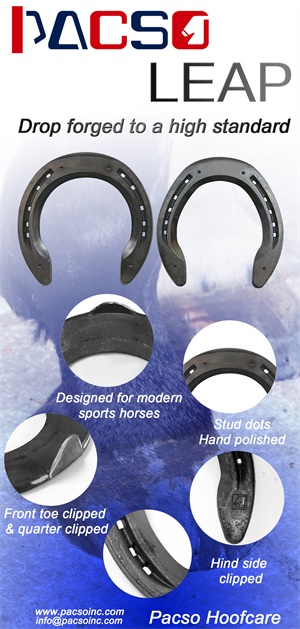 C:\Users\Administrator\Desktop\图\【CHF 2018】佩加索马匹护理 专注您爱马的健康\【CHF 2018】佩加索马匹护理 专注您爱马的健康.files\image019.jpg