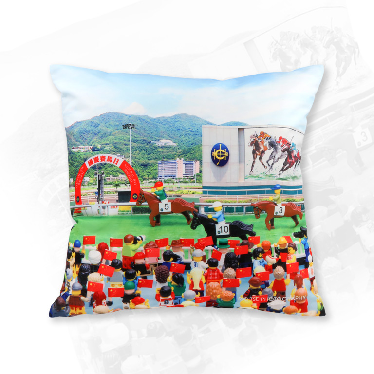 gift-cushion-cover.jpg