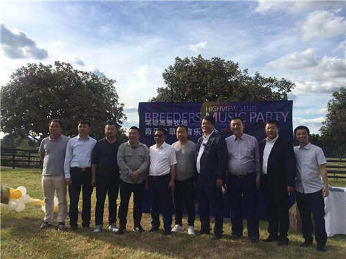 中国马主团.jpg