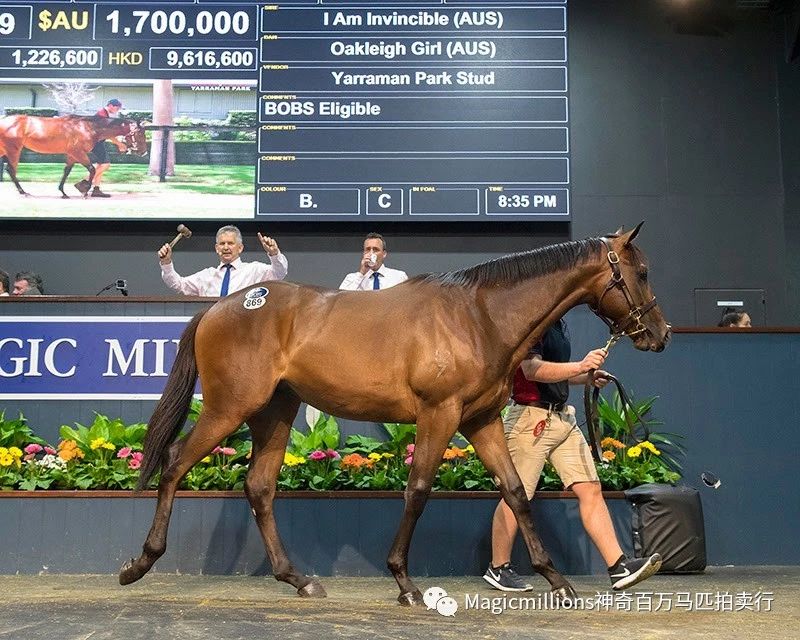 微信图片_20190113193523.jpg 微信图片_20190113193523.jpg