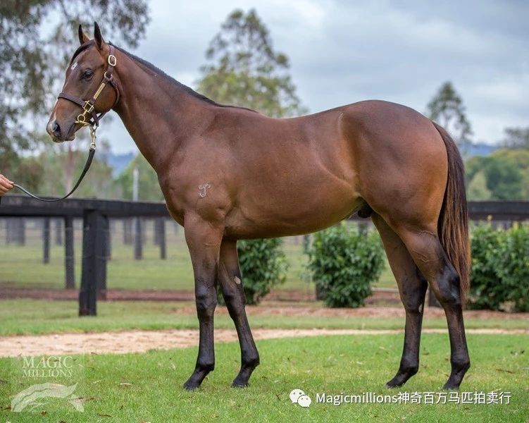 微信图片_20190113193533.jpg 微信图片_20190113193533.jpg