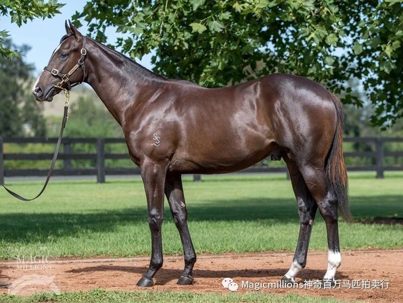 微信图片_20190113193551.jpg 微信图片_20190113193551.jpg