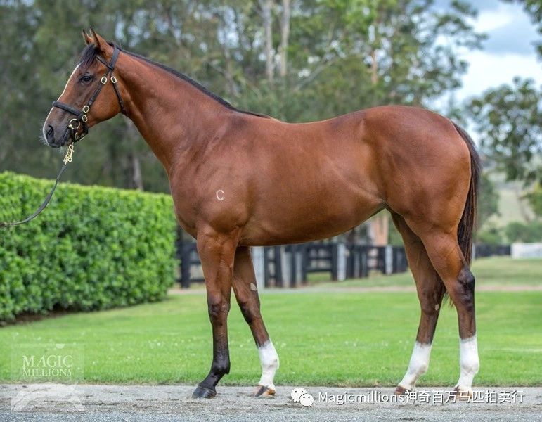 微信图片_20190113193542.jpg 微信图片_20190113193542.jpg