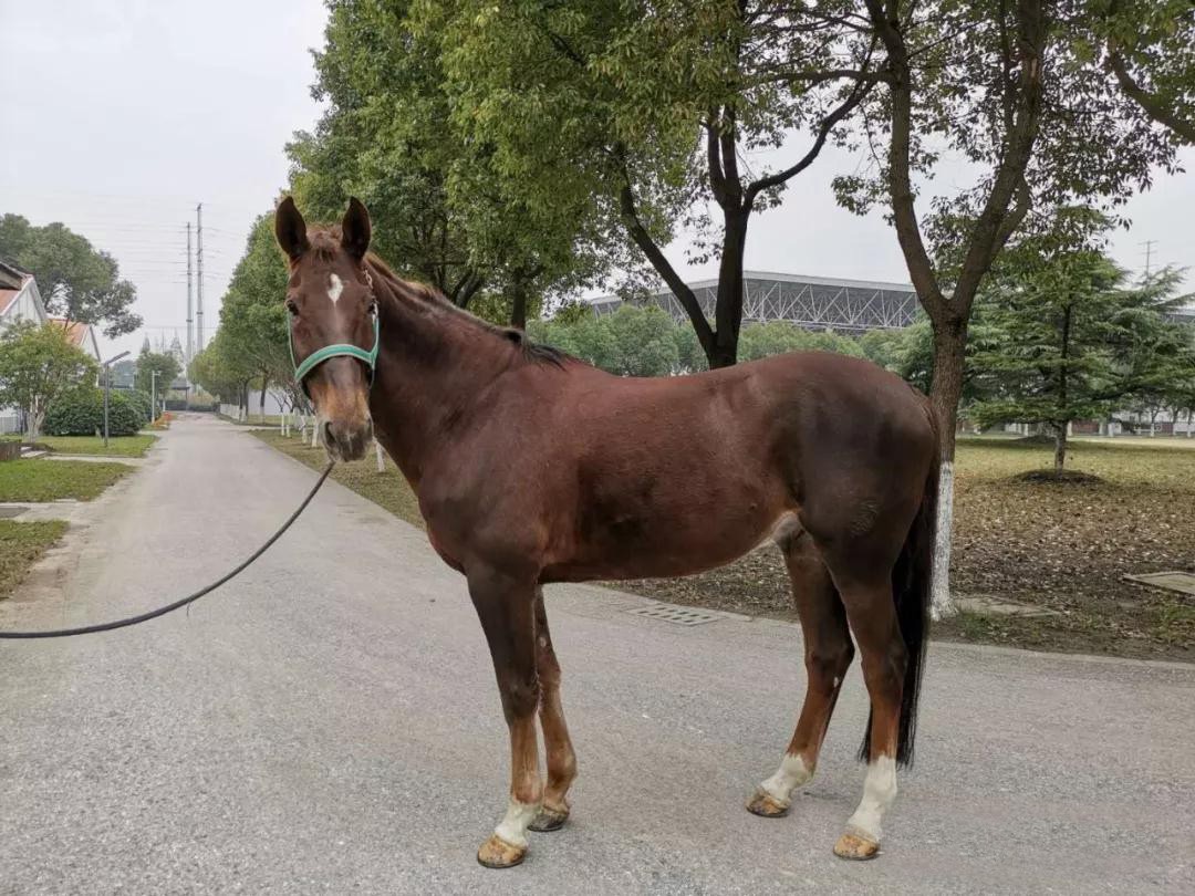 微信图片_20190113200928.jpg 微信图片_20190113200928.jpg