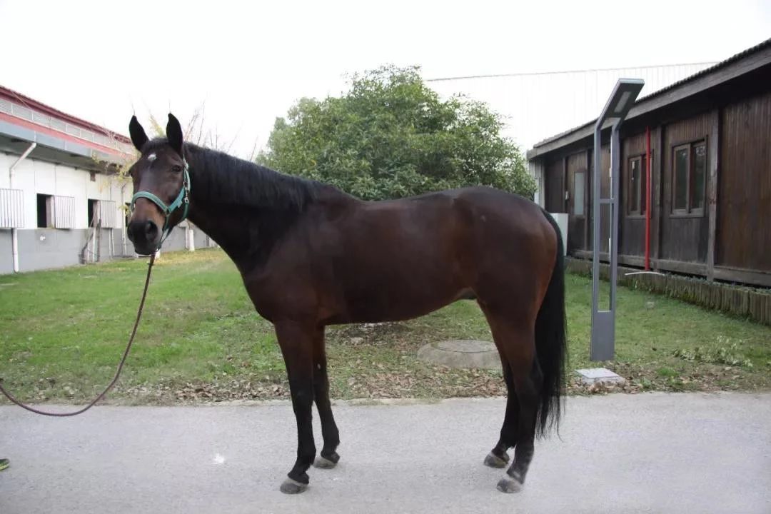 微信图片_20190113200933.jpg 微信图片_20190113200933.jpg