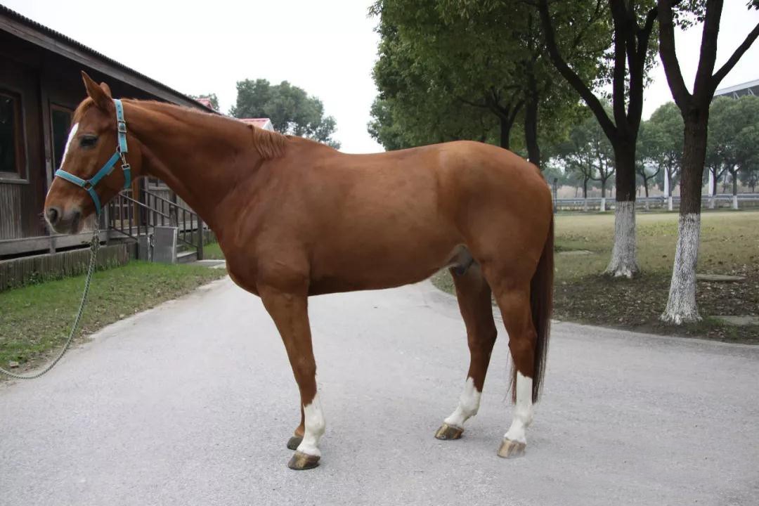 微信图片_20190113200939.jpg 微信图片_20190113200939.jpg