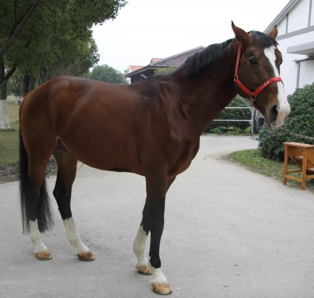 微信图片_20190113200944.jpg 微信图片_20190113200944.jpg