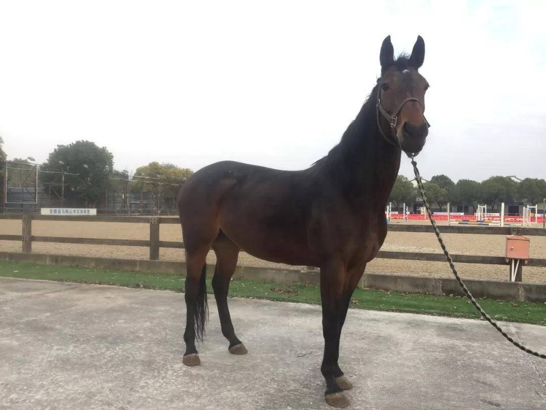 微信图片_20190113200948.jpg 微信图片_20190113200948.jpg