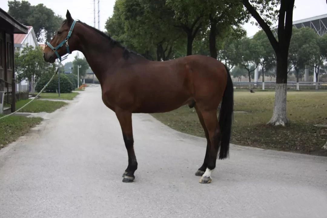 微信图片_20190113200952.jpg 微信图片_20190113200952.jpg