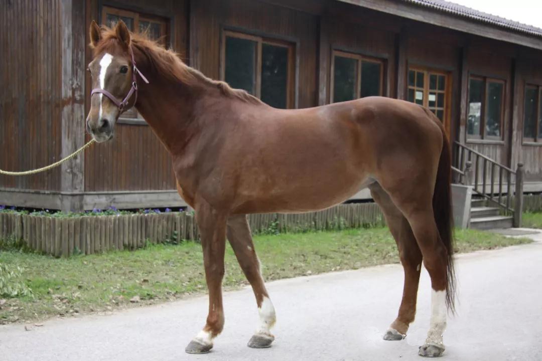 微信图片_20190113200957.jpg 微信图片_20190113200957.jpg