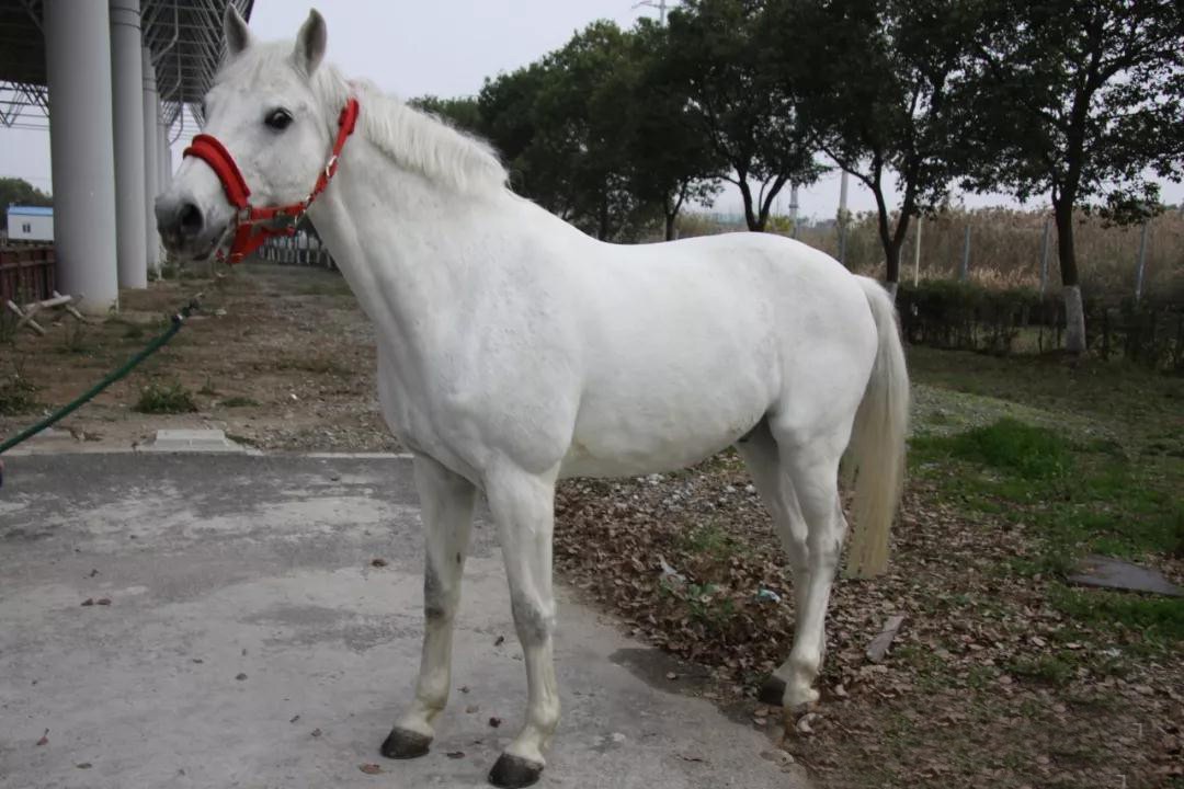 微信图片_20190113201002.jpg 微信图片_20190113201002.jpg