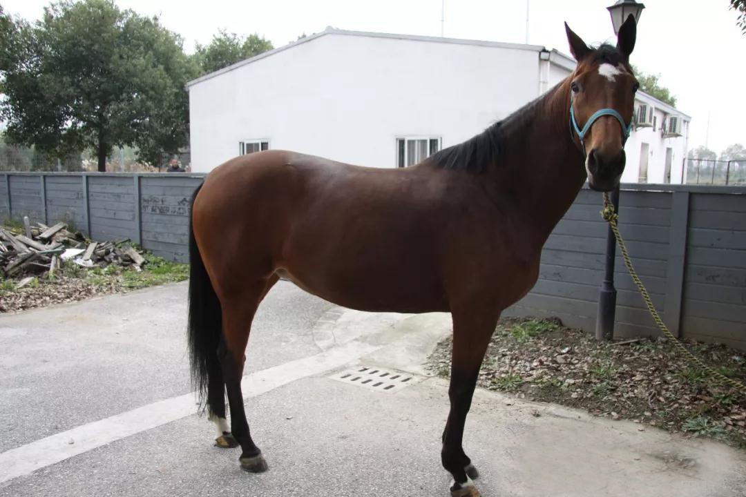 微信图片_20190113201018.jpg 微信图片_20190113201018.jpg