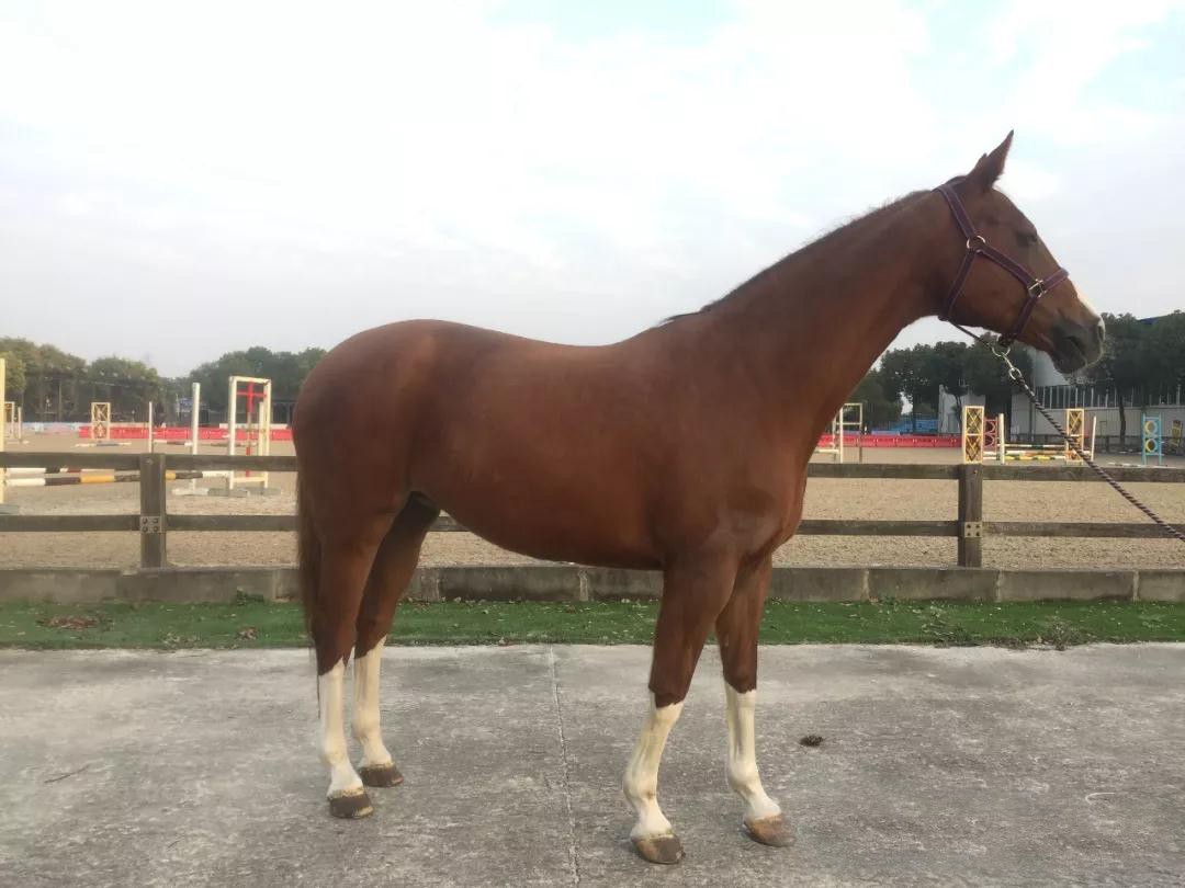 微信图片_20190113201013.jpg 微信图片_20190113201013.jpg