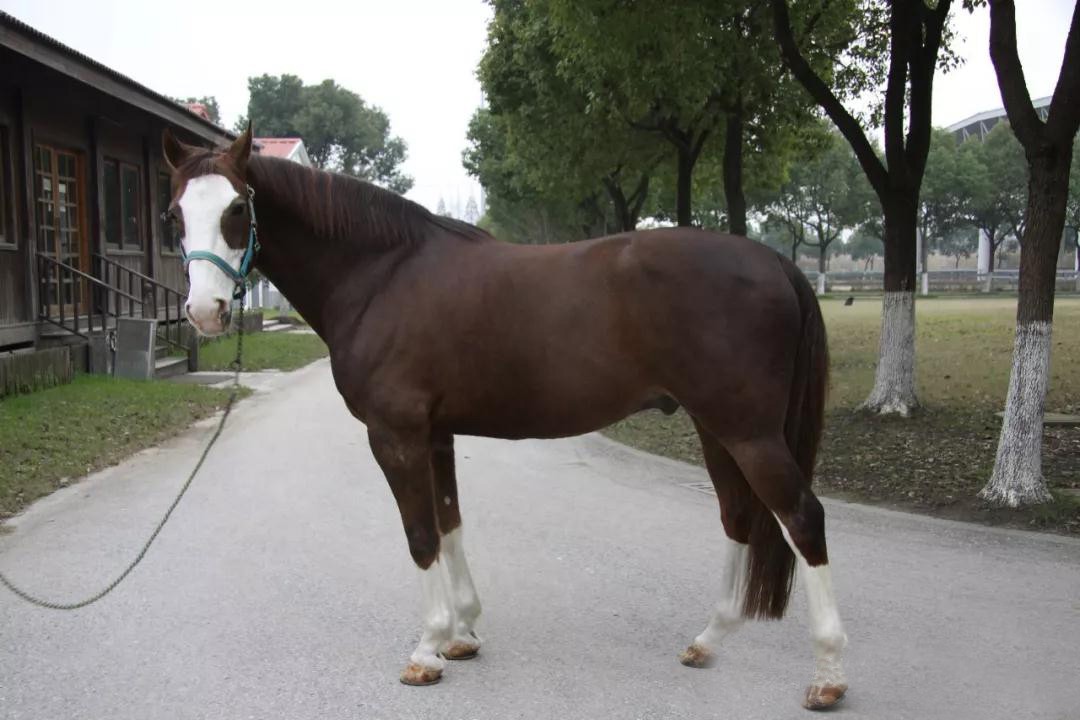 微信图片_20190113201022.jpg 微信图片_20190113201022.jpg