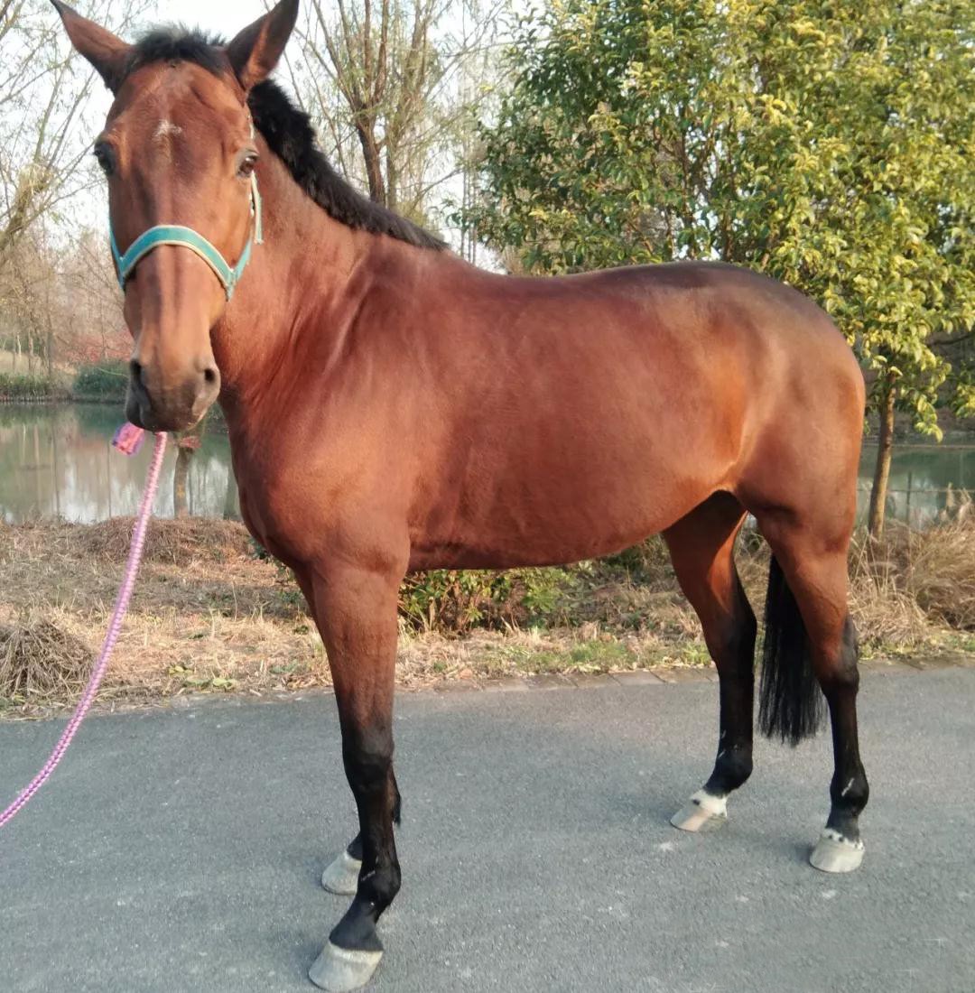 微信图片_20190113201007.jpg 微信图片_20190113201007.jpg