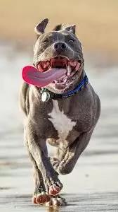 微信图片_20190118172704.jpg 微信图片_20190118172704.jpg