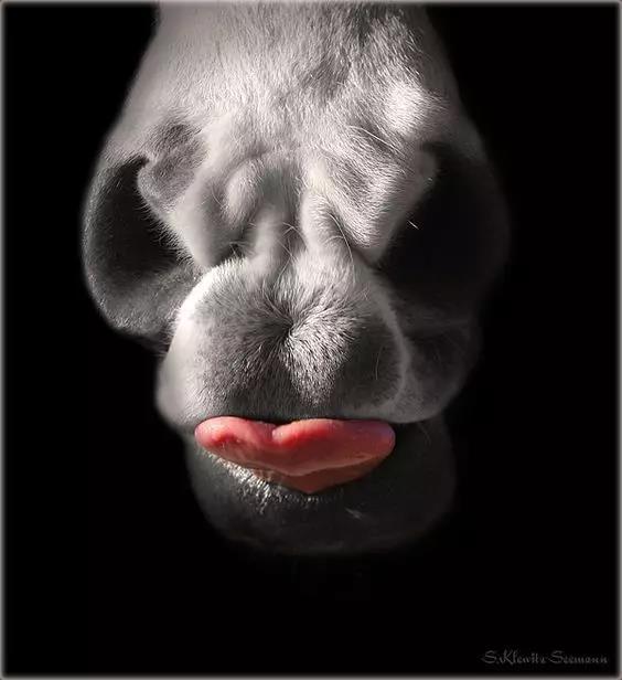 微信图片_20190118172714.jpg 微信图片_20190118172714.jpg