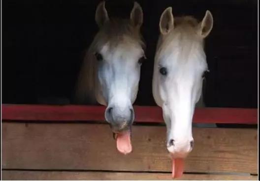 微信图片_20190118172745.jpg 微信图片_20190118172745.jpg