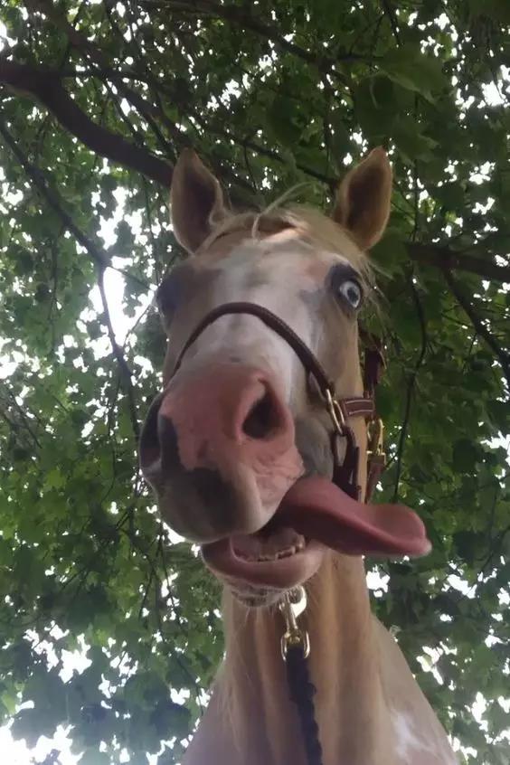 微信图片_20190118172755.jpg 微信图片_20190118172755.jpg