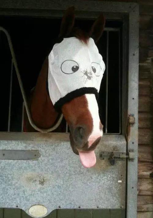 微信图片_20190118172759.jpg 微信图片_20190118172759.jpg