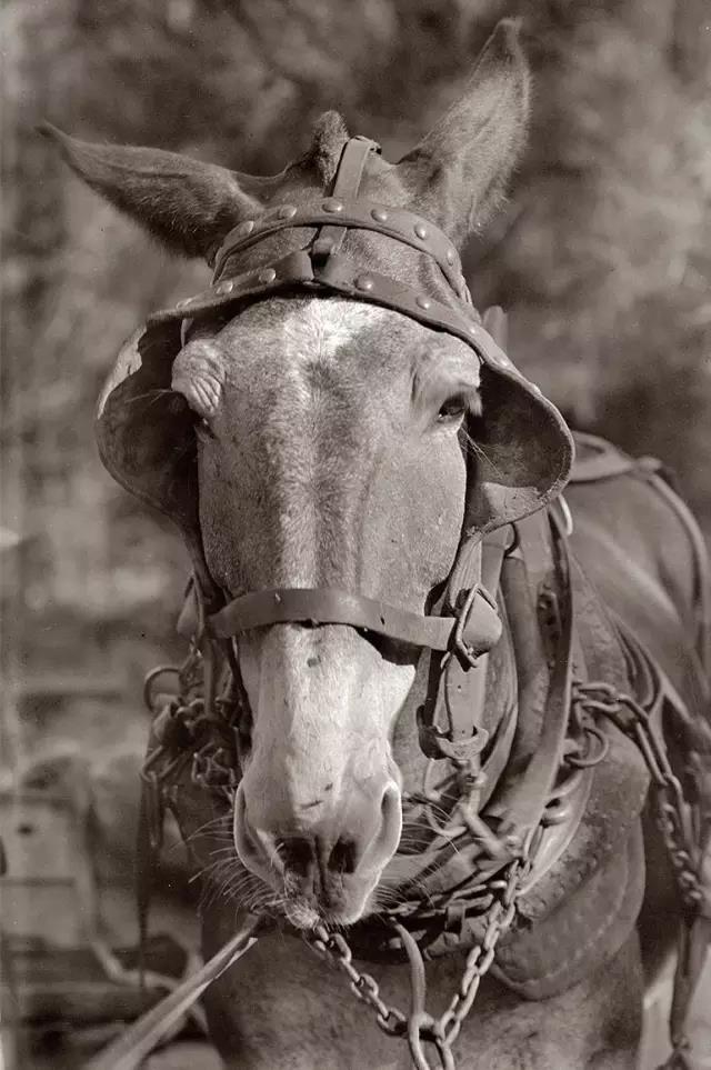 微信图片_20190118174758.jpg 微信图片_20190118174758.jpg