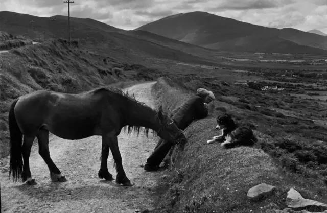 微信图片_20190118174820.jpg 微信图片_20190118174820.jpg