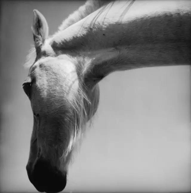 微信图片_20190118174833.jpg 微信图片_20190118174833.jpg