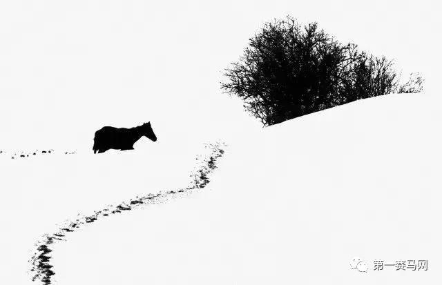 微信图片_20190118174836.jpg 微信图片_20190118174836.jpg