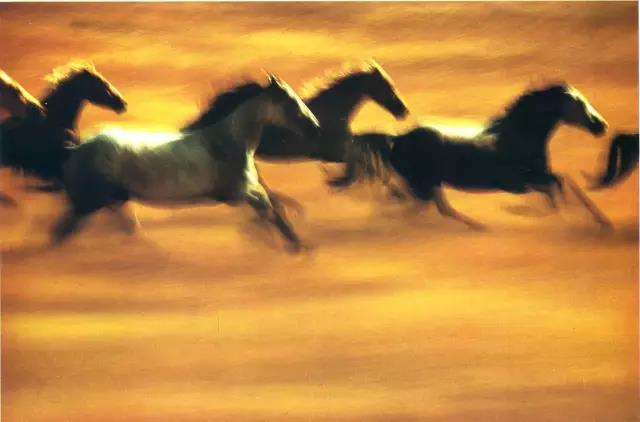 微信图片_20190118174843.jpg 微信图片_20190118174843.jpg