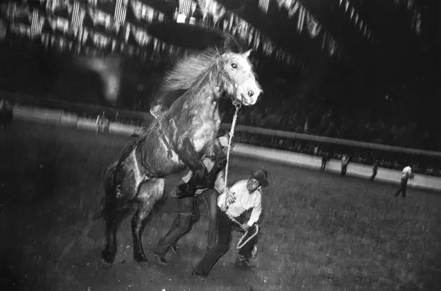 微信图片_20190118174920.jpg 微信图片_20190118174920.jpg